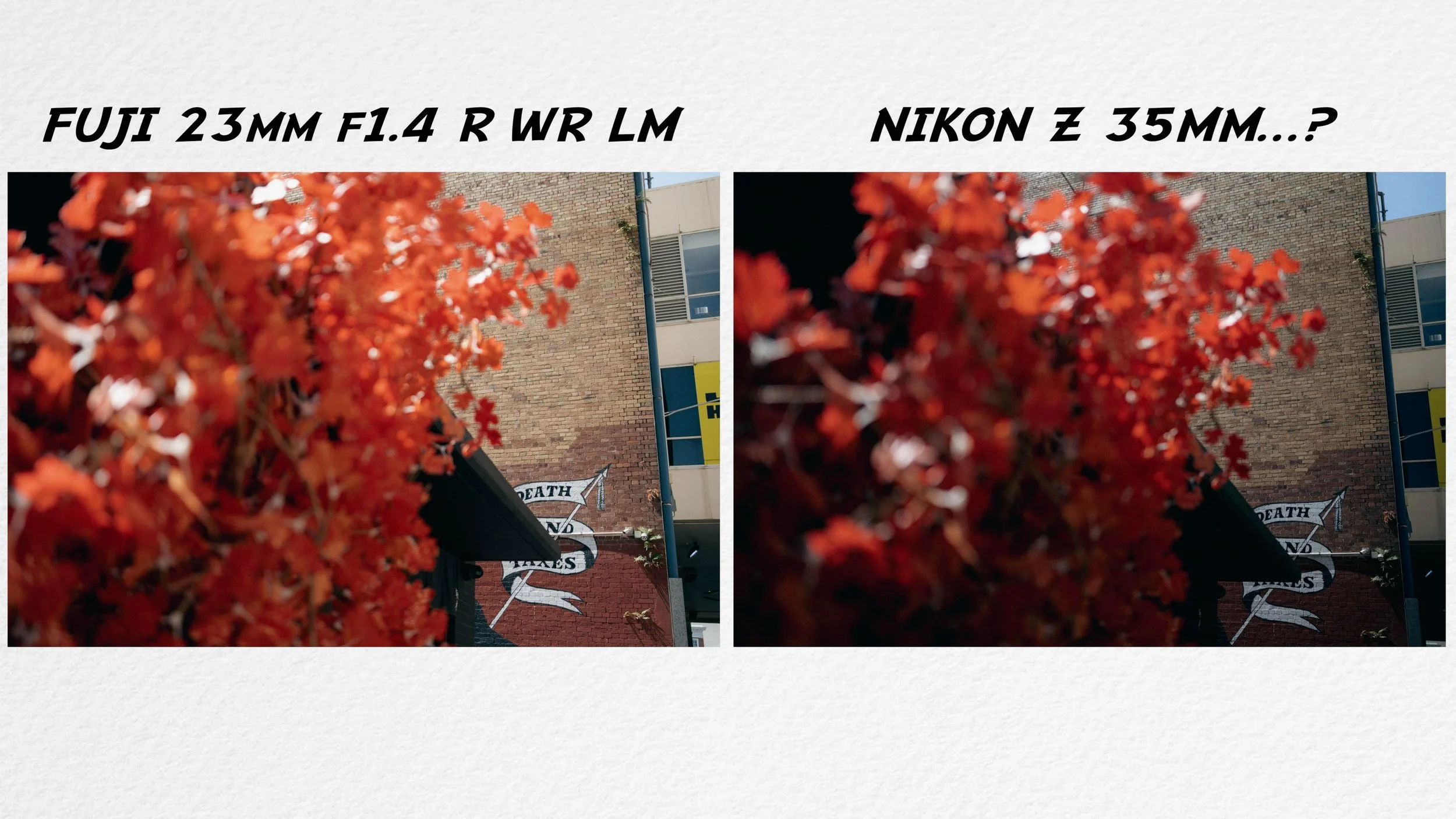 I Obsessed Over Fujifilm vs Nikon Primes? — JACK WANG